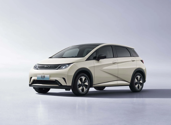 Adult-Friendly Used Mini Electric Car Adult-Friendly Used Mini Electric Car