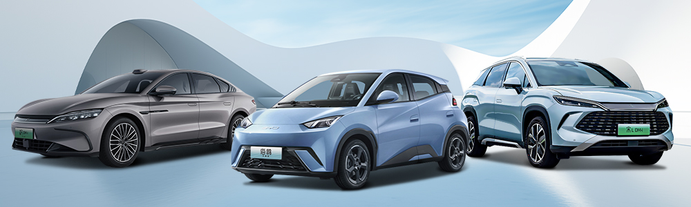 China New Energy Cars For Sale