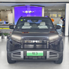 2025 new energy Byd Leopard Super 3