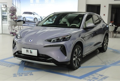 Byd Denza N7 2025 EV Suv Car New Energy Vehicle.jpg