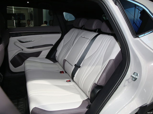 520km Intelligent Function Pure Electric New Energy Car