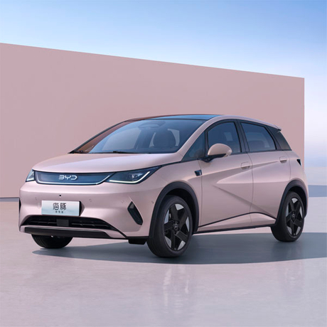 海豚_2025款智驾版_整车_600x600.jpg