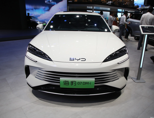 Compact Used Flying Vitality EV